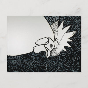Hühner 1 postkarte