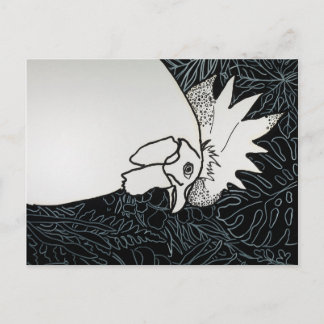 Hühner 1 postkarte