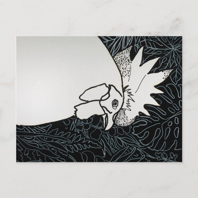 Hühner 1 postkarte (Vorderseite)