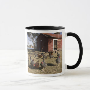 Hühner auf dem Gelände nahe des Hühnerstalls Clibu Tasse