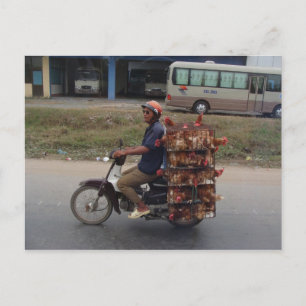 Hühner auf dem Motorrad in Vietnam Postkarte