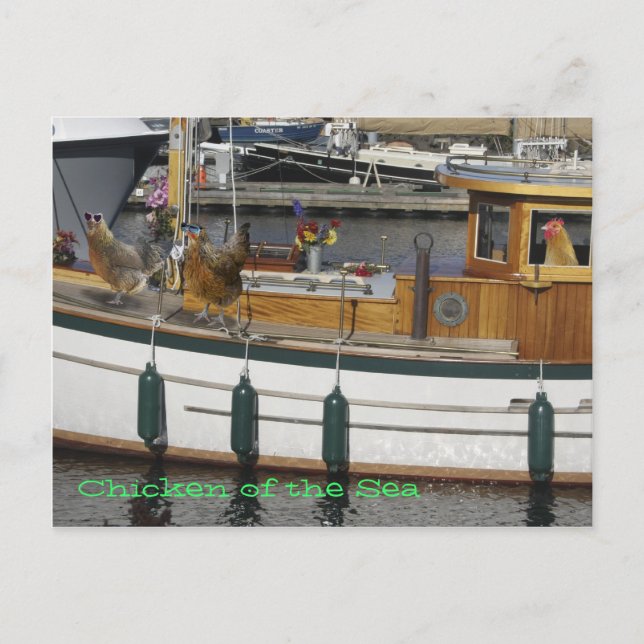 Hühner auf See - Spaß Postkarte (Vorderseite)