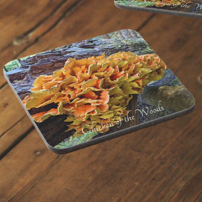 Hühner des Wald Pilz-Fotos Getränkeuntersetzer (In Situ)