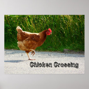 Hühner, die die Straße überqueren Poster