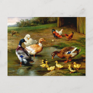 Hühner, Enten und Enten im landwirtschaftlichen Be Postkarte