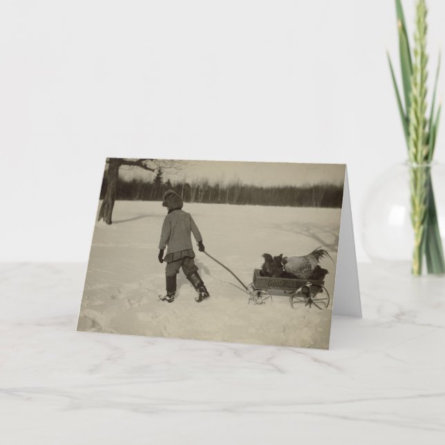 Hühner in der Schnee-Gruß-Karte Karte (Vorderseite)