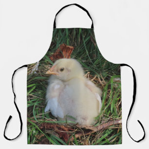 Hühner, Küken, Zuchtbetriebe, Tiere, Vögel, Geflüg Schürze