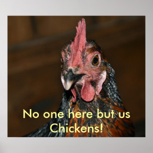 Hühner — Poster