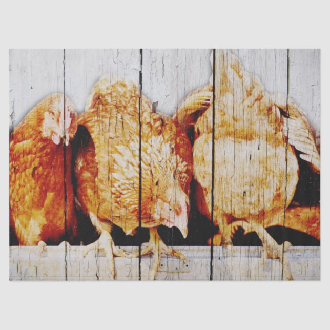 Hühner Seidenpapier (Vorderseite)