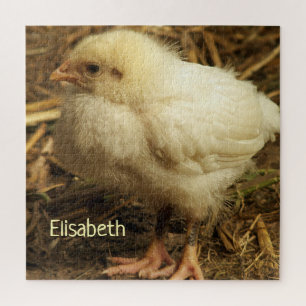 Hühner, Tiere, Küken, Vögel, Bauernhof, niedlich, Puzzle