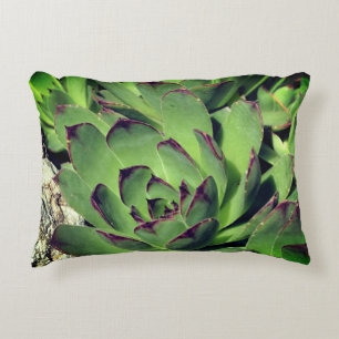 Hühner und Hühner-Gartensukkulturen Nah Dekokissen