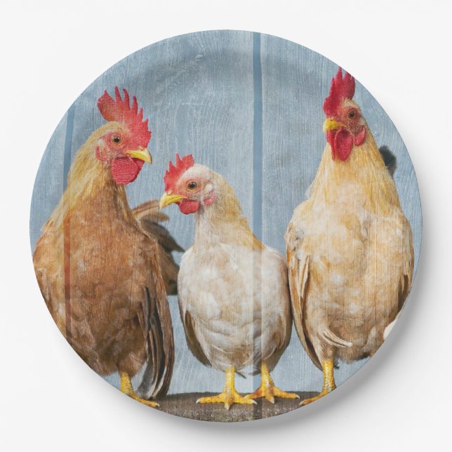 Hühner und Hühner Pappteller (Vorderseite)