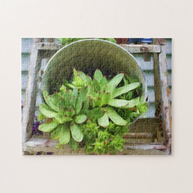 Hühner und Hühner Succulents Foto Ölgemälde Puzzle (Horizontal)