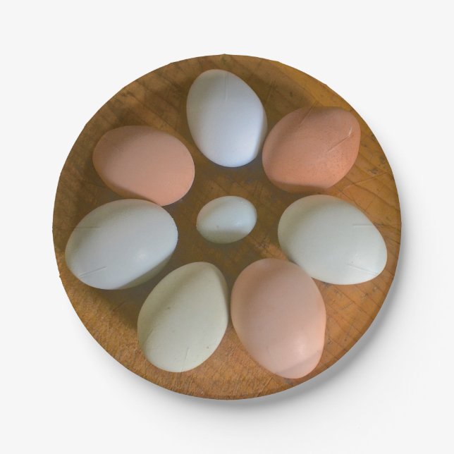 Hühnereiteigenpapierplatte Pappteller (Vorderseite)