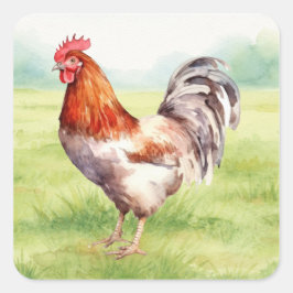 Hühnerfarm-Aufkleber Quadratischer Aufkleber