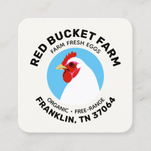 Hühnerfarm Frische Eier Moderne Quadratische Visitenkarte
