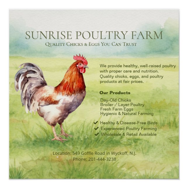 Hühnerfarm Glänzendes Poster (Vorderseite)