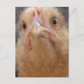 Hühnerfass Postkarte