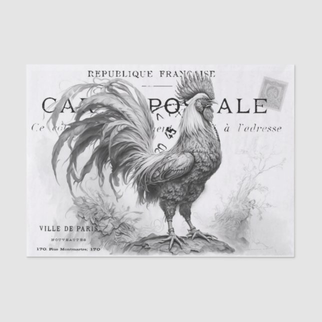 Hühnergewebe Seidenpapier (Vorderseite)