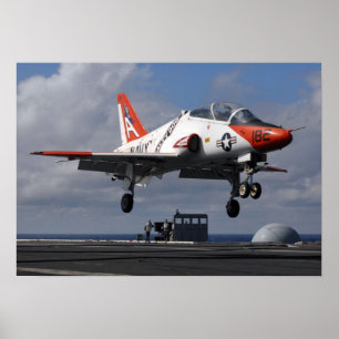 Hühnerhabicht T-45 Poster