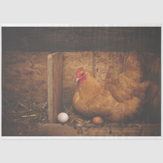 Hühnerhenne-Eier-Farm-Dekoupage-Gewebepapier Seidenpapier (Vorderseite)