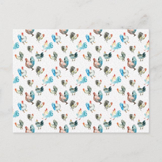 Hühnerhennen Postkarte (Vorderseite)