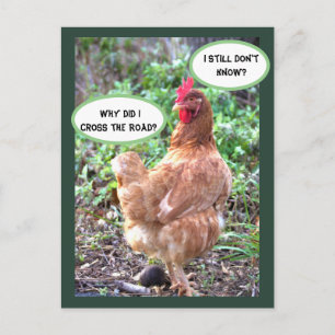 Hühnerhumor Postkarte