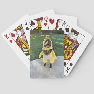 Hühnerhund Spielkarten