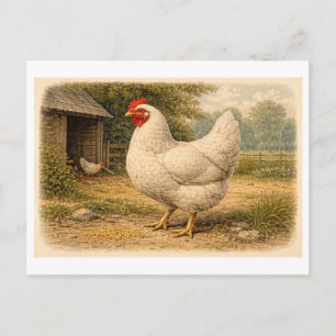 Hühnerillustration im Vintage-Stil Postkarte