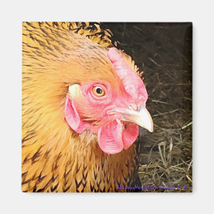 Hühnermagnet #1 Golden Laced Wyandotte Magnet