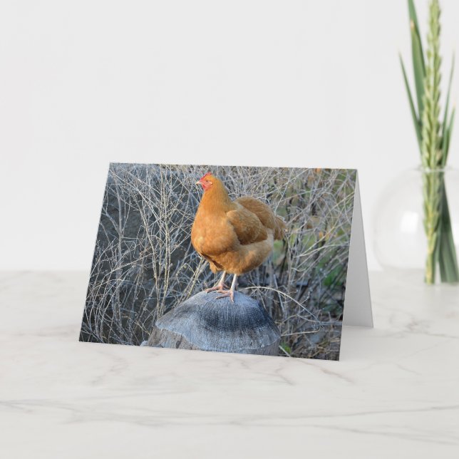 Hühnernotecard Karte (Vorderseite)
