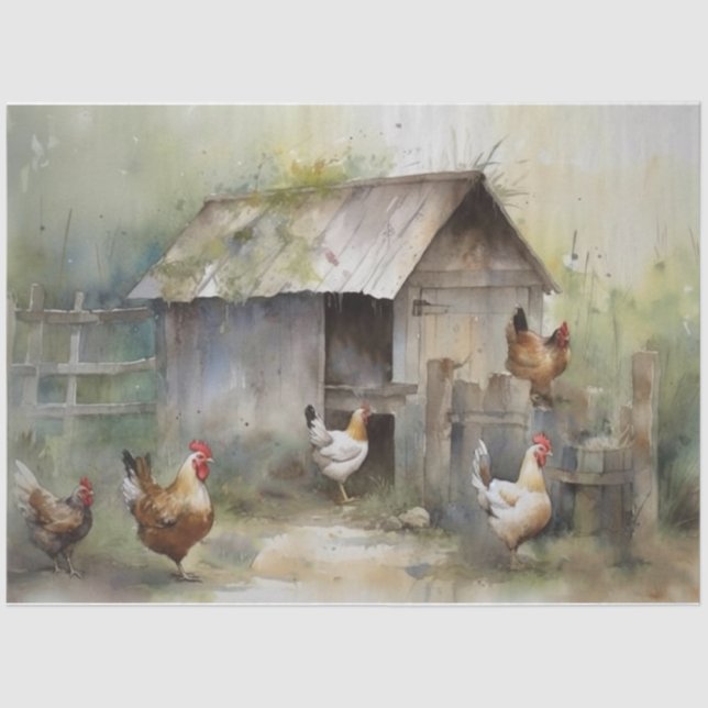 Hühnerzinnpapier Seidenpapier (Vorderseite)