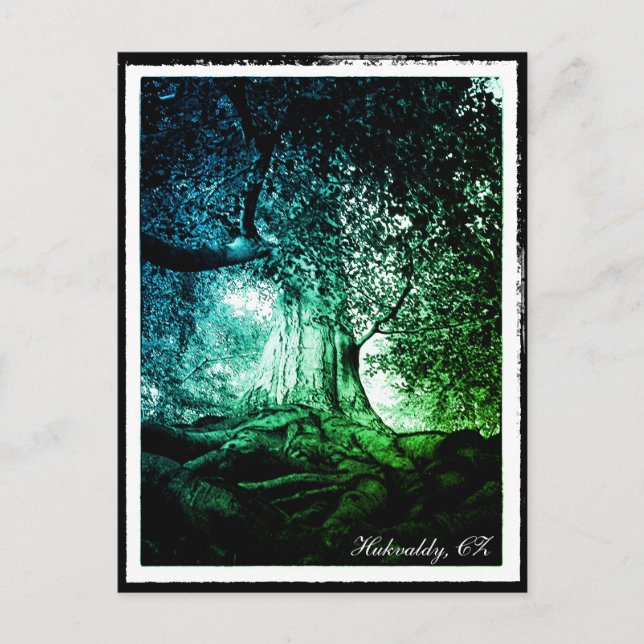 Hukvaldy - Beech Tree, Morava, Tschechien Postcard Postkarte (Vorderseite)