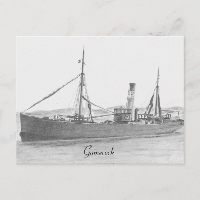 Hull trawler - Gamecock Postcard Postkarte (Vorderseite)