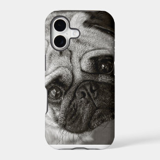 hülle des Telefons mit Fotograria von Carlino