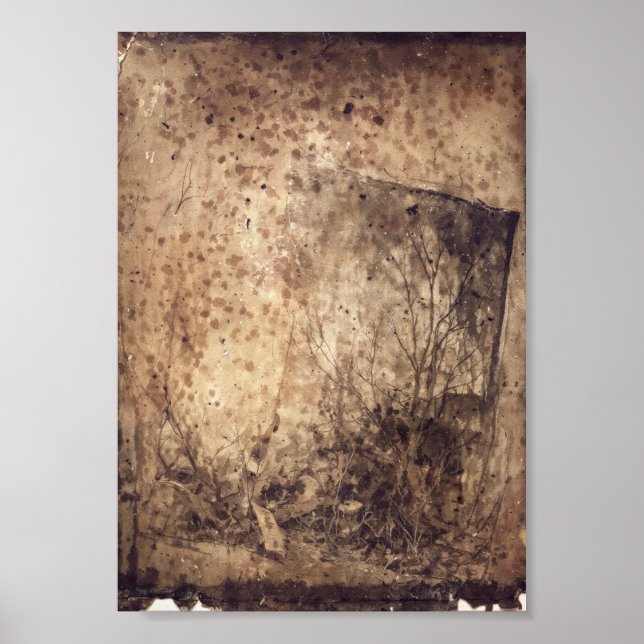 Hulroy Wilds Poster (Vorne)