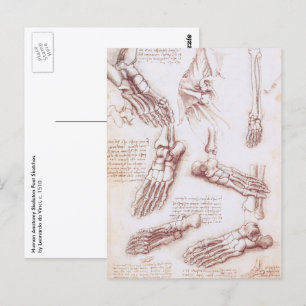Human Anatomy Foot Bones by Leonardo da Vinci Postkarte