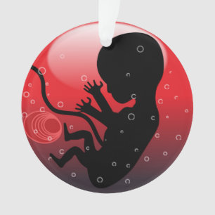 HUMAN BABY EMBRYO ORNAMENT