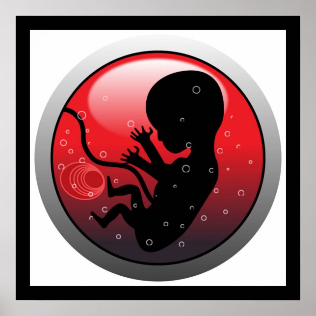 HUMAN BABY EMBRYO POSTER (Vorne)