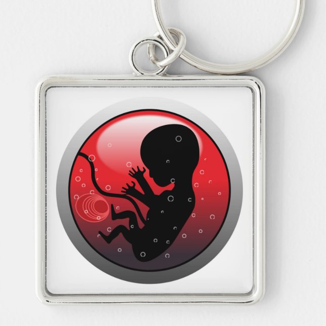 HUMAN BABY EMBRYO SCHLÜSSELANHÄNGER (Vorne)
