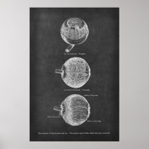 Human Eye Anatomy Arteries of the Choroid & Iris