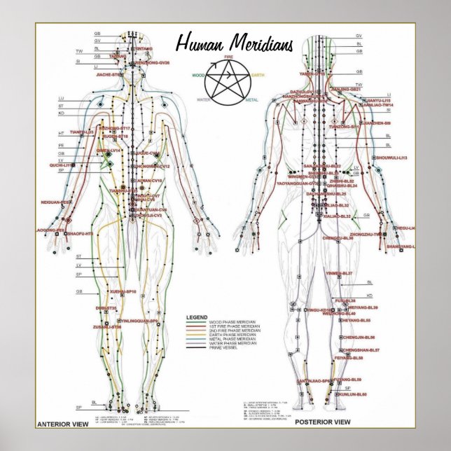 Human Meridians & Prespoint Chart Poster (Vorne)