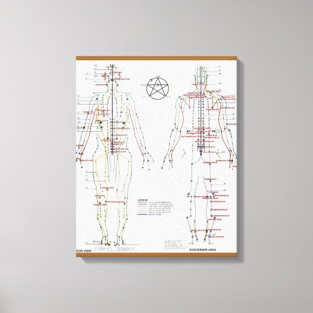 Human Meridians & Pressure Pt Chart verpackt Canva Leinwanddruck (Vorderseite)
