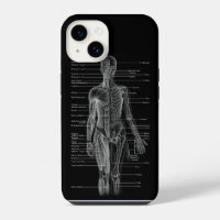 Humane Anatomie Medizinische Diagramme