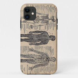Humann Skelett Medizinisches Diagramm iPhone 5 Hül Case-Mate iPhone Hülle