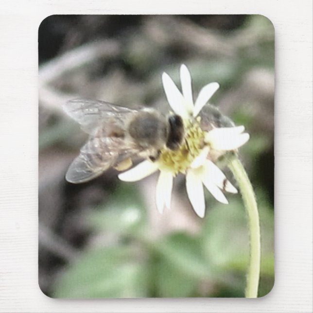 Humble Bee Mousepad (Vorne)