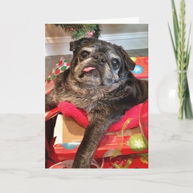 Humblone Weihnachtskarte Feiertagskarte (Vorderseite)