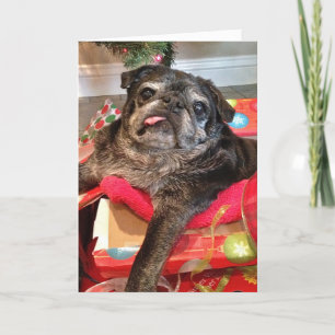 Humblone Weihnachtskarte Feiertagskarte