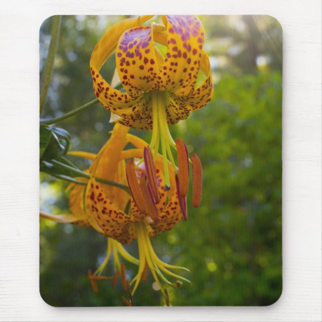 Humboldt Lilies Sunburst Mousepad (Vorne)