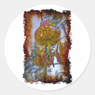 Humboldt Lily Runder Aufkleber